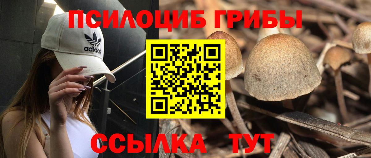 купить наркоту  Вход с VPN  Ивантеевка  Псилоцибиновые грибы MAGIC MUSHROOMS 