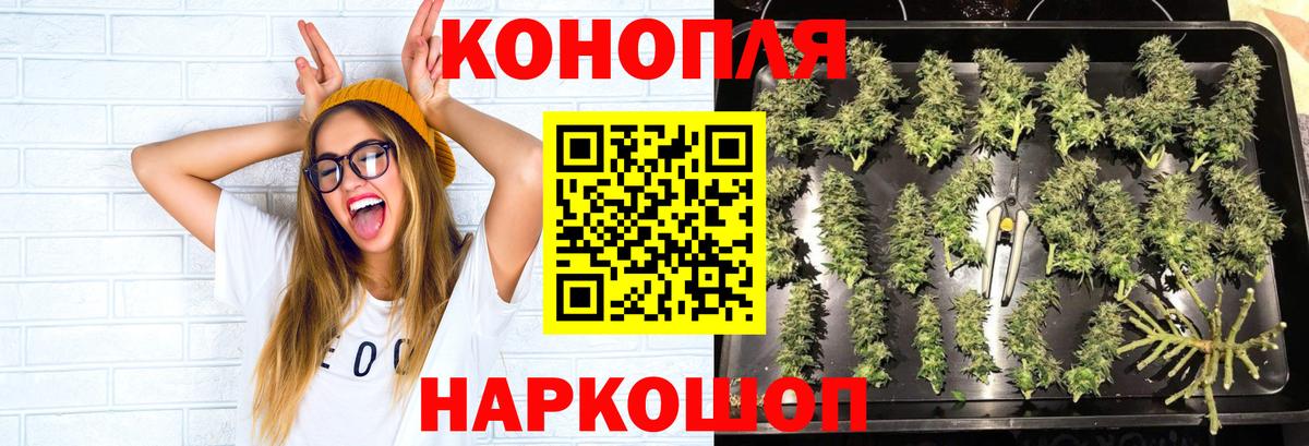 Конопля семена Ивантеевка